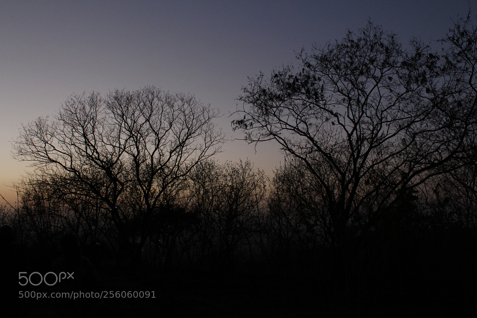 Canon EOS 700D (EOS Rebel T5i / EOS Kiss X7i) sample photo. Dawn photography