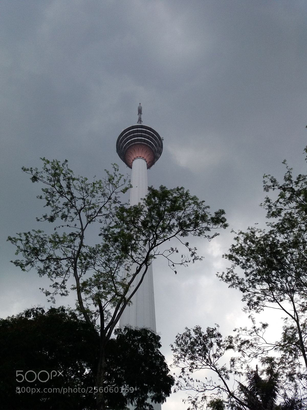 Samsung Galaxy J5 sample photo. Untitled photography