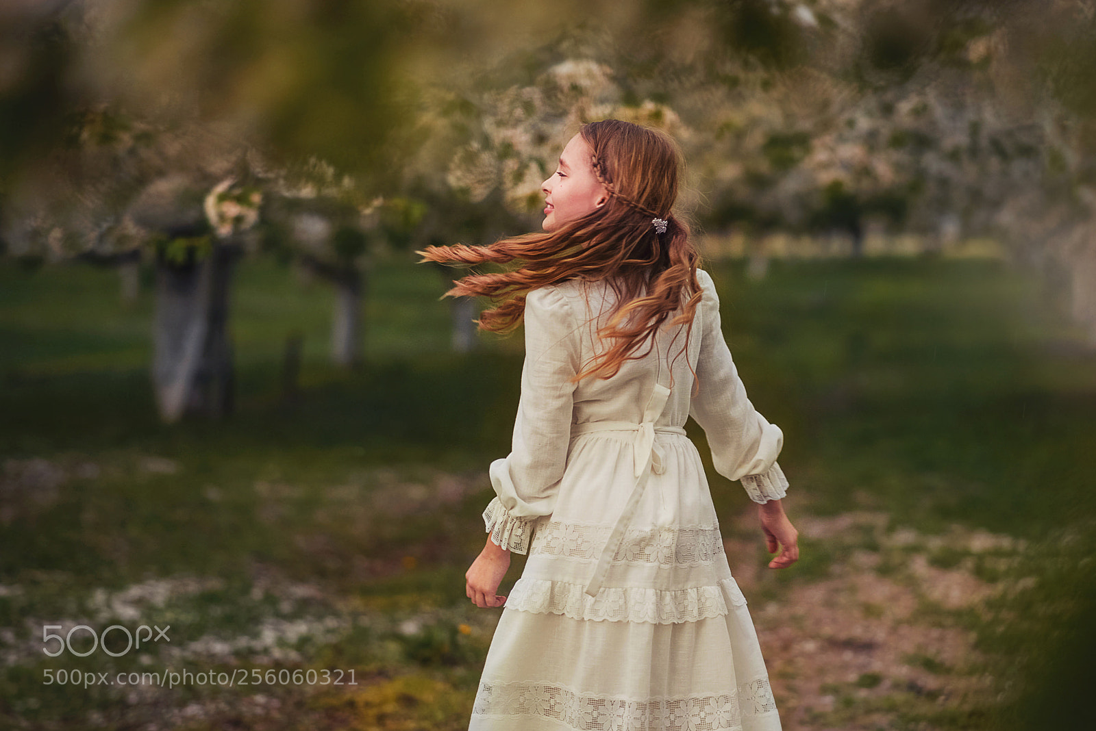 Nikon D610 sample photo. Spring photography