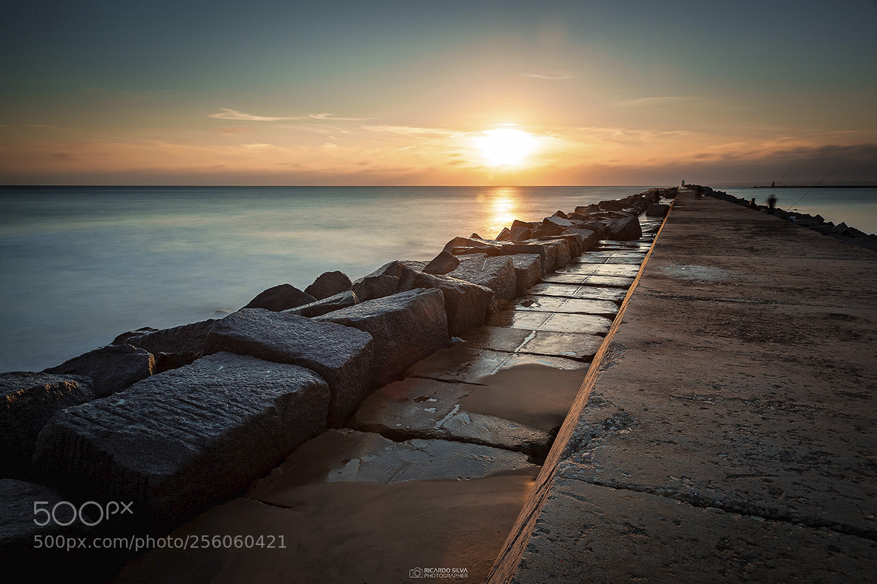 Canon EOS 5D Mark II sample photo. Ferragudo - back in 2016 photography