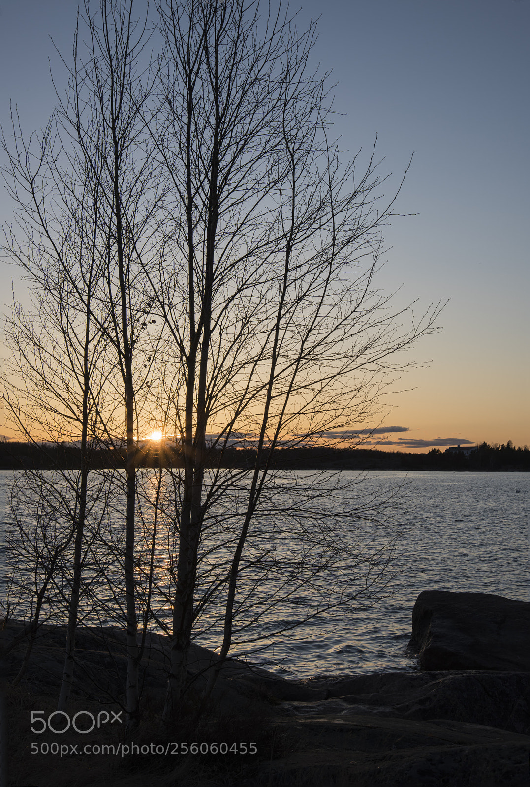 Nikon D810 sample photo. Spring sunset photography