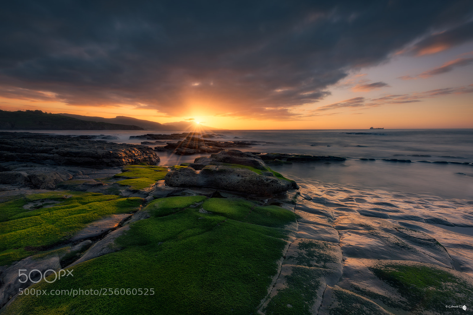 Nikon D850 sample photo. Spring in the sea photography