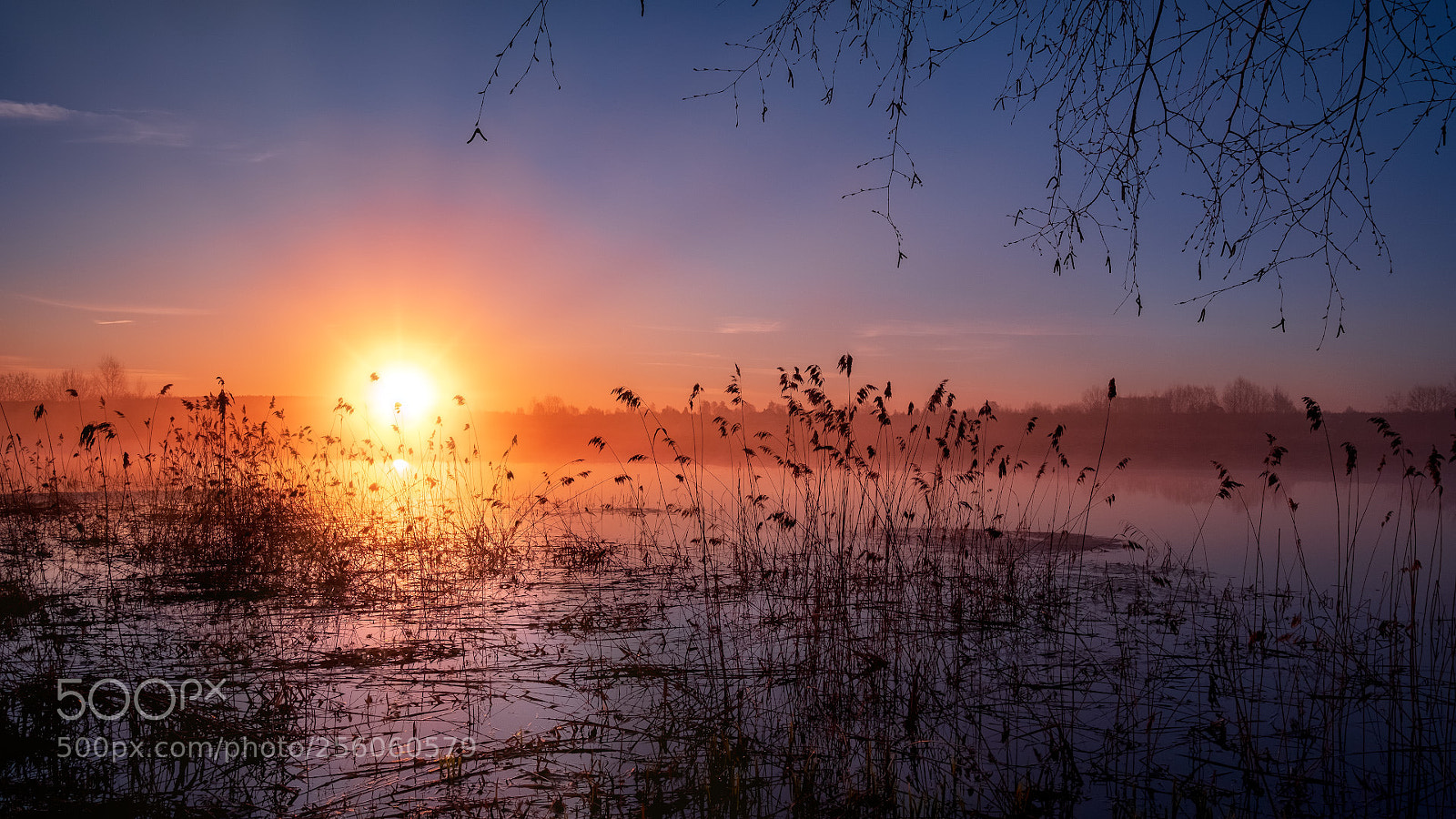 Fujifilm X-H1 sample photo. April dawn in the photography