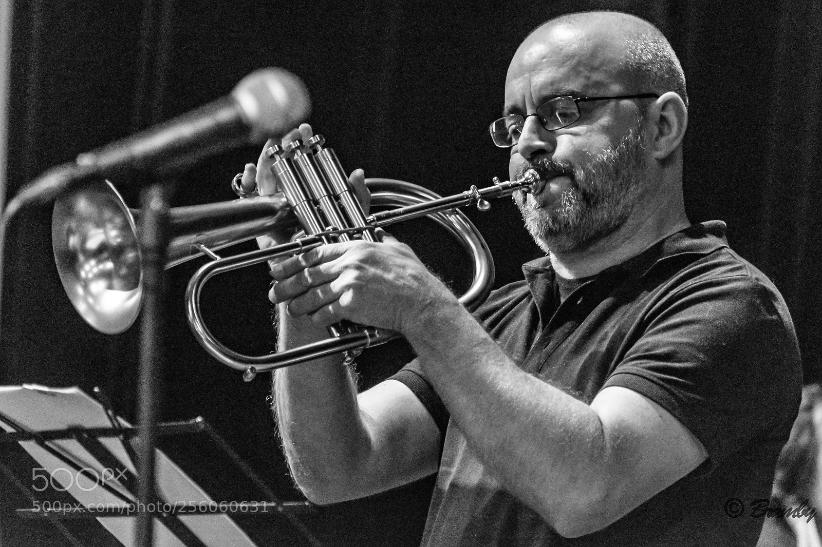 Nikon D3300 sample photo. Casalmaggiore jazz day 2018 photography