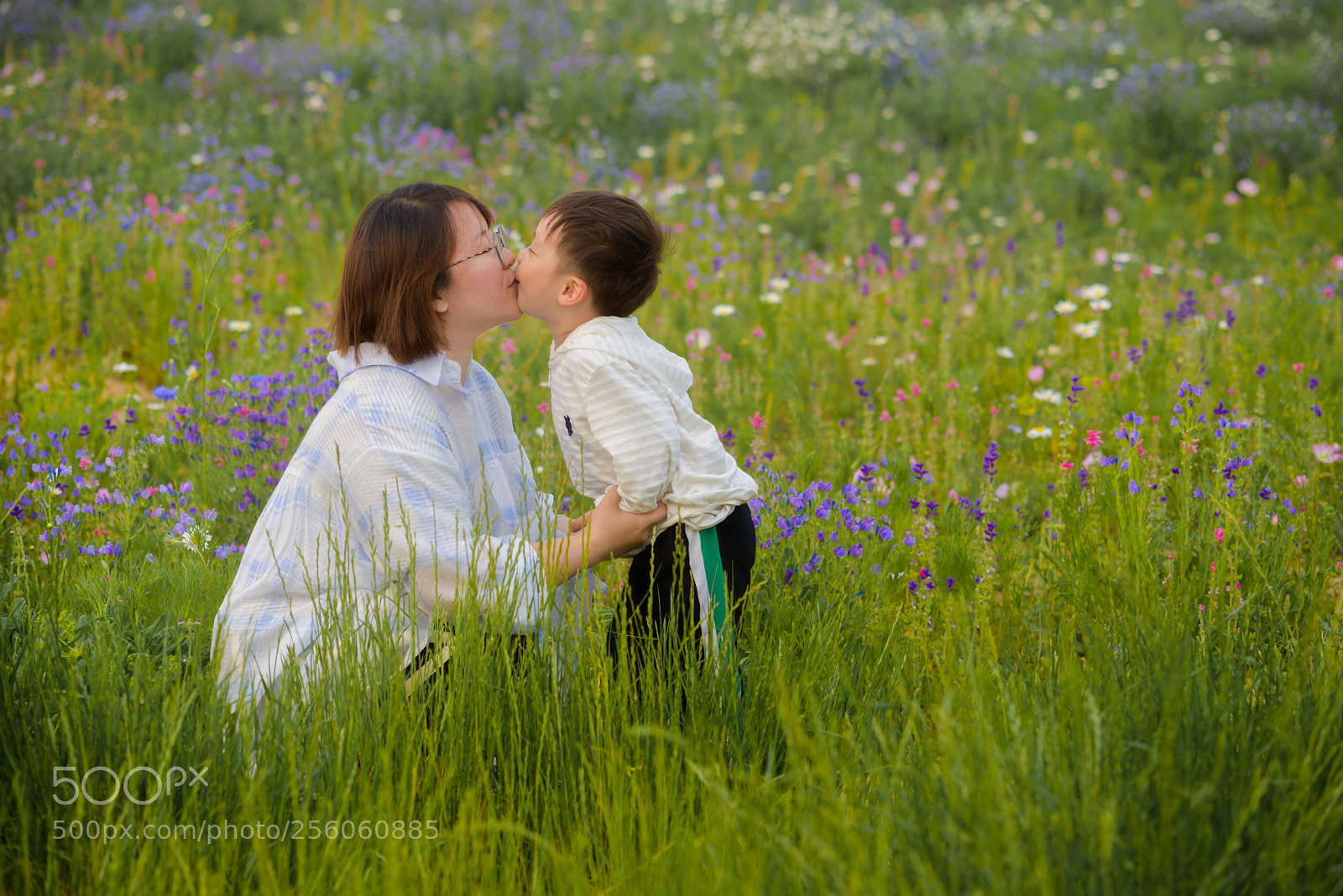 Nikon D800E sample photo. Untitled photography