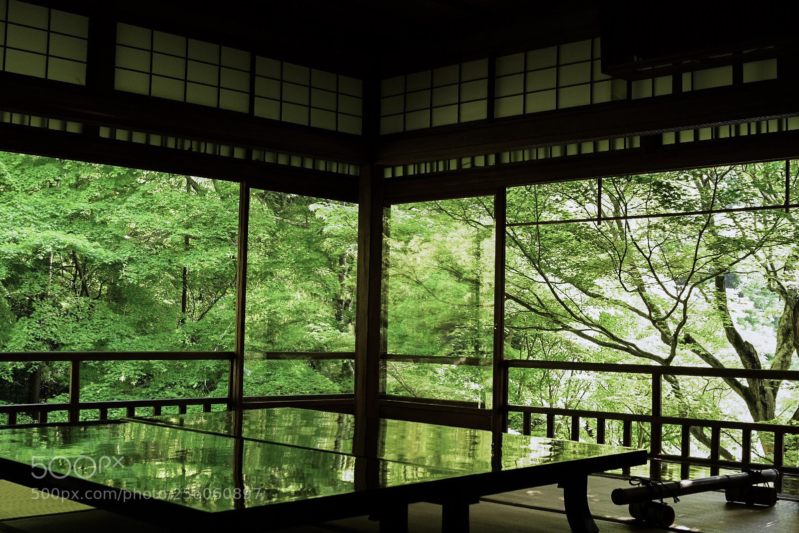 Nikon D7500 sample photo. Rurikoin komyoji  photography