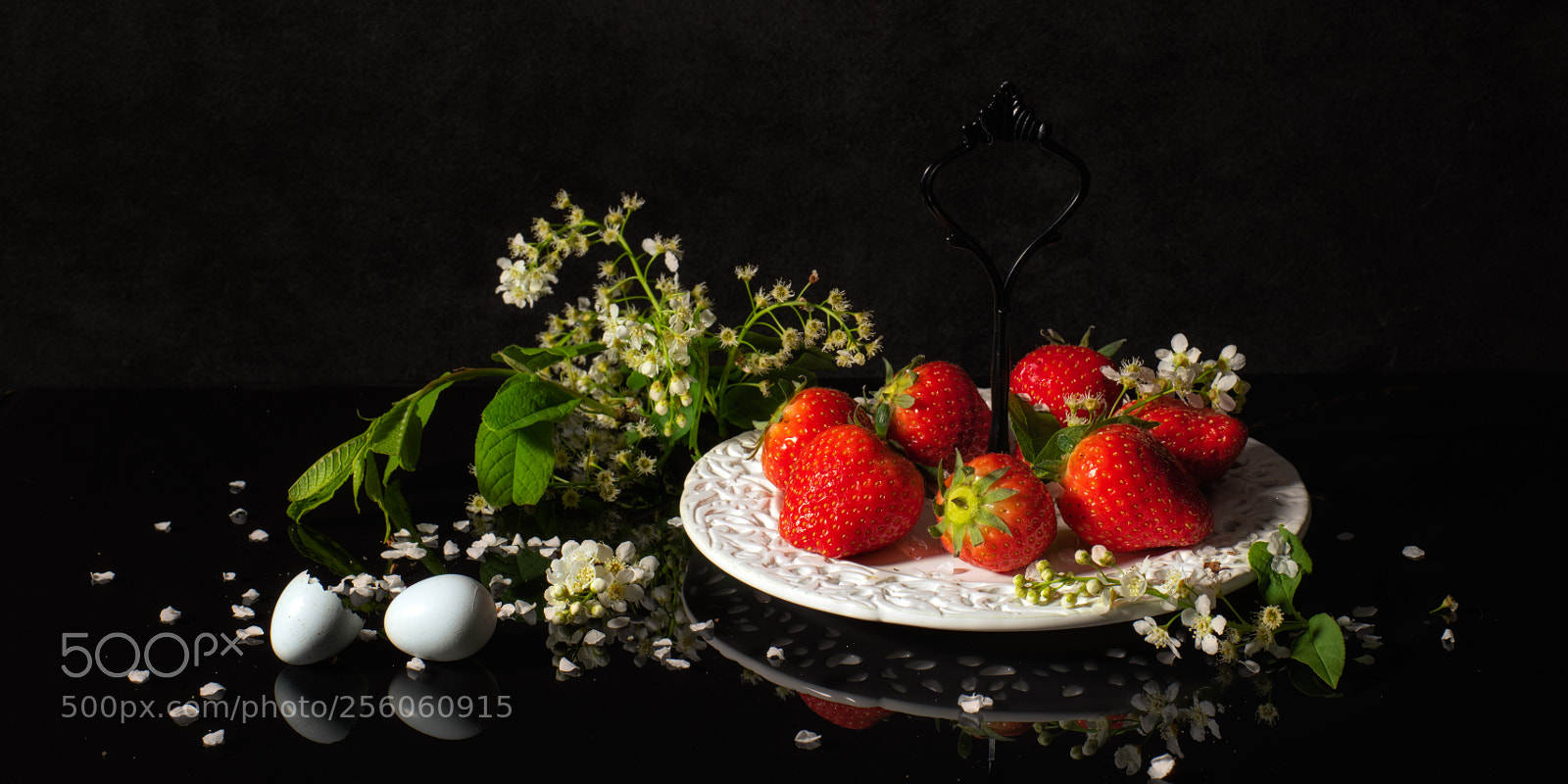 Nikon D850 sample photo. Spring still life photography
