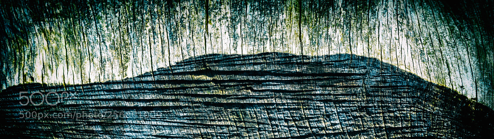 Nikon D750 sample photo. The mount wood mountain photography