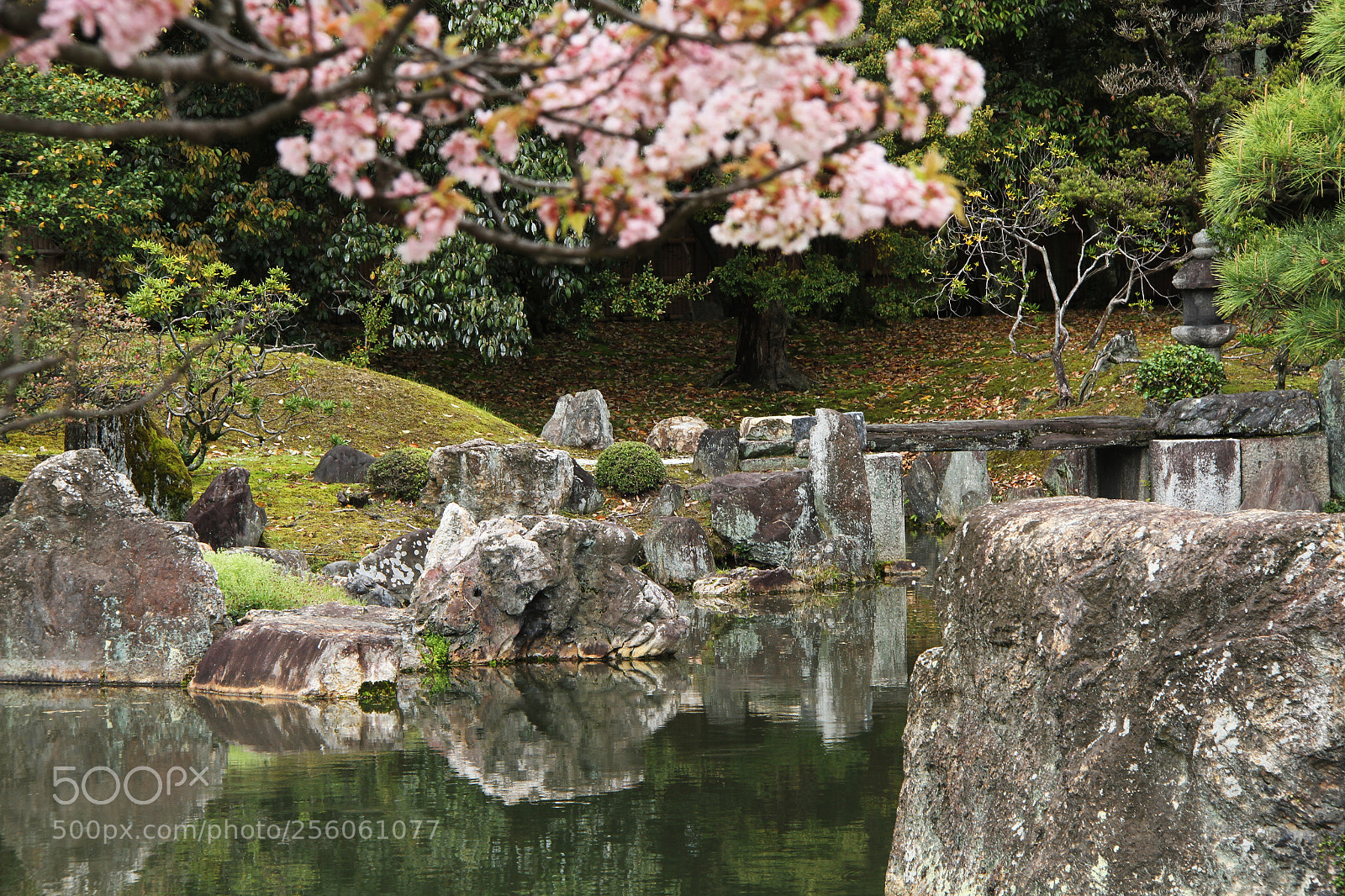 Canon EOS 7D sample photo. Nijo castle gardens, kyoto photography