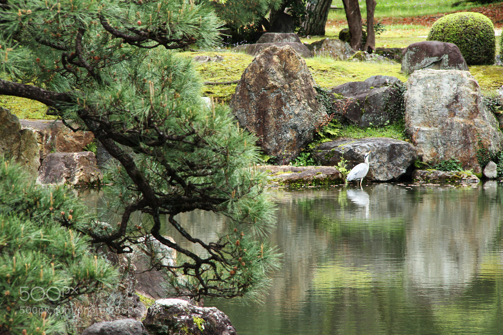 Canon EOS 7D sample photo. Nijo castle gardens, kyoto photography