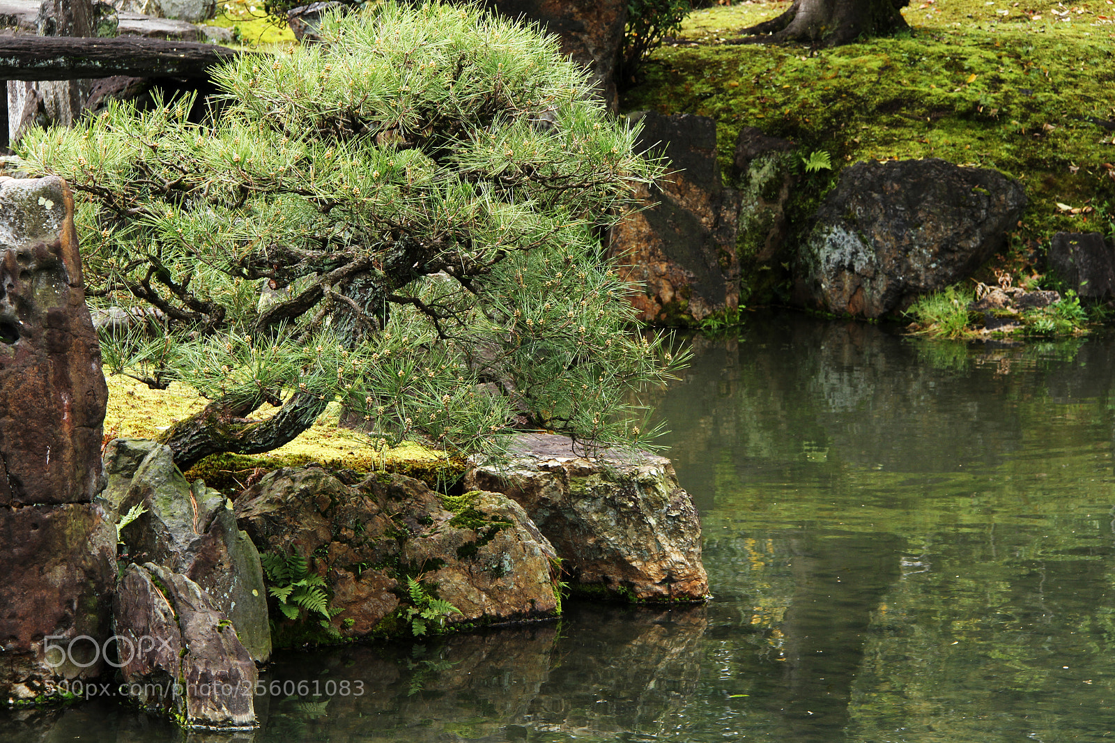 Canon EOS 7D sample photo. Nijo castle gardens, kyoto photography