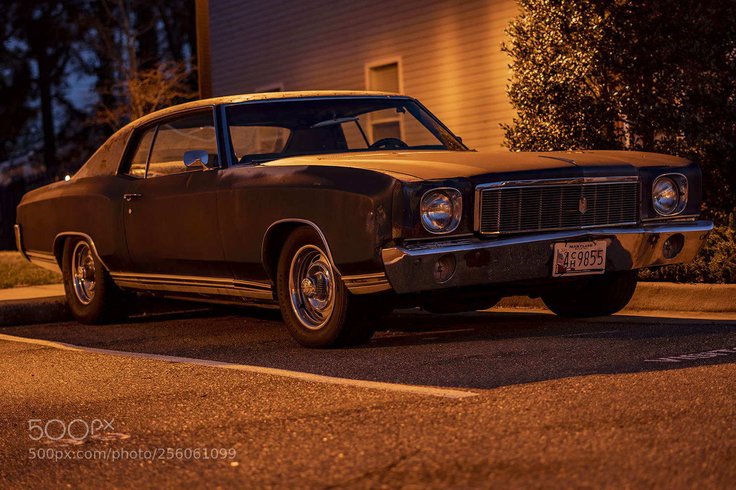 Sony a6300 sample photo. Dsc photography