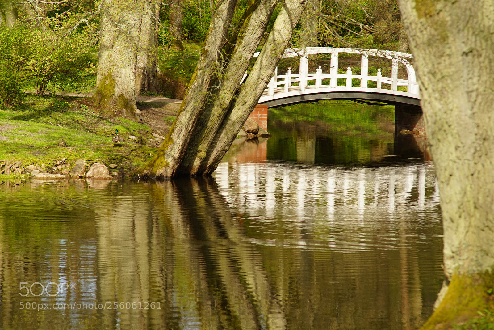 Sony a7R sample photo. Dsc photography