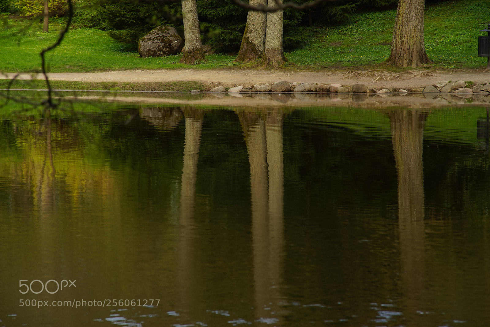 Sony a7R sample photo. Dsc photography
