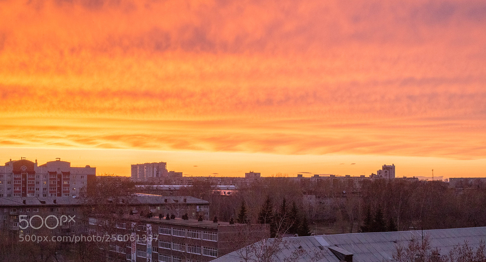 Canon EOS 6D sample photo. Untitled photography