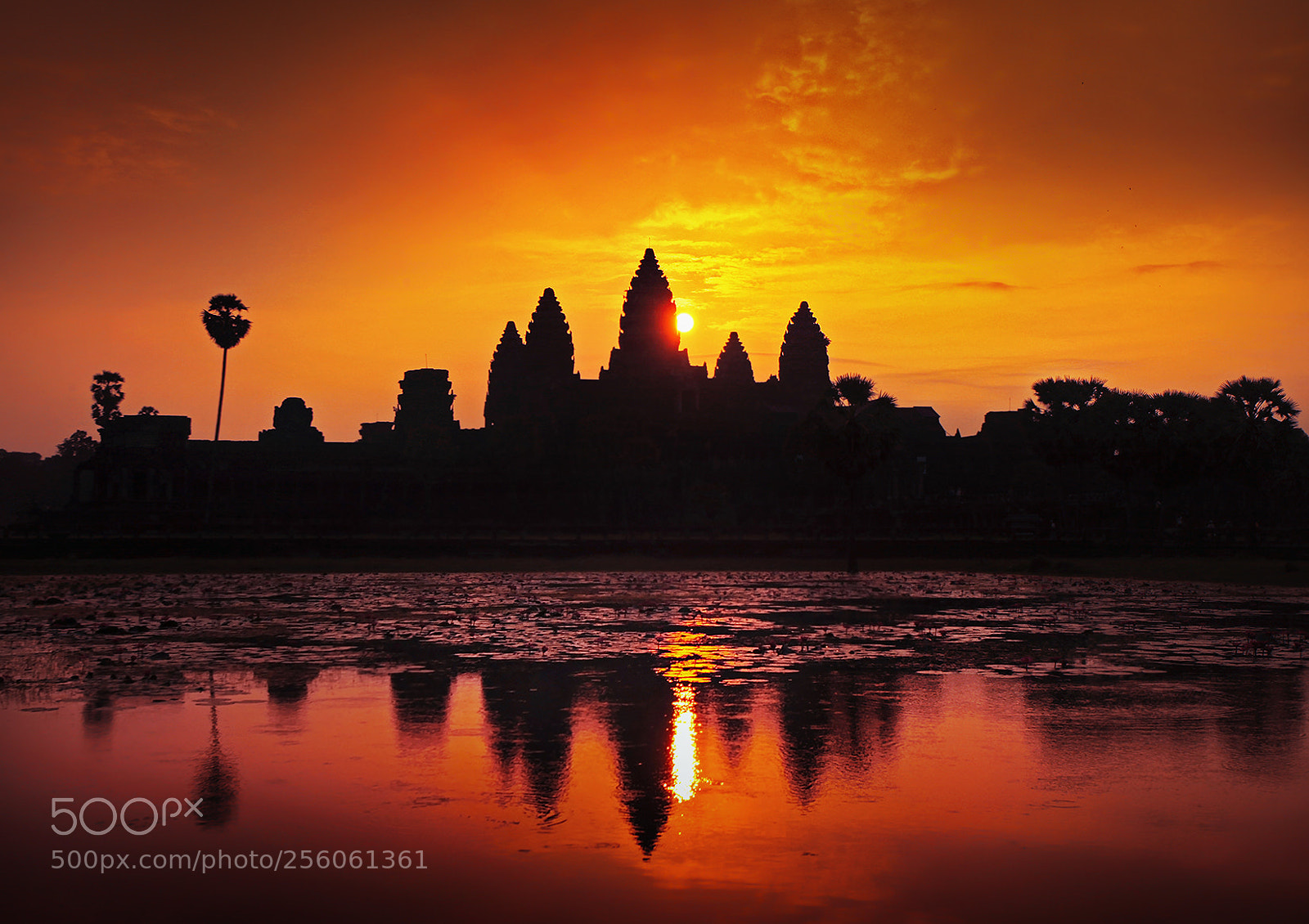 Canon EOS 5D Mark II sample photo. Morning in angkor wat photography