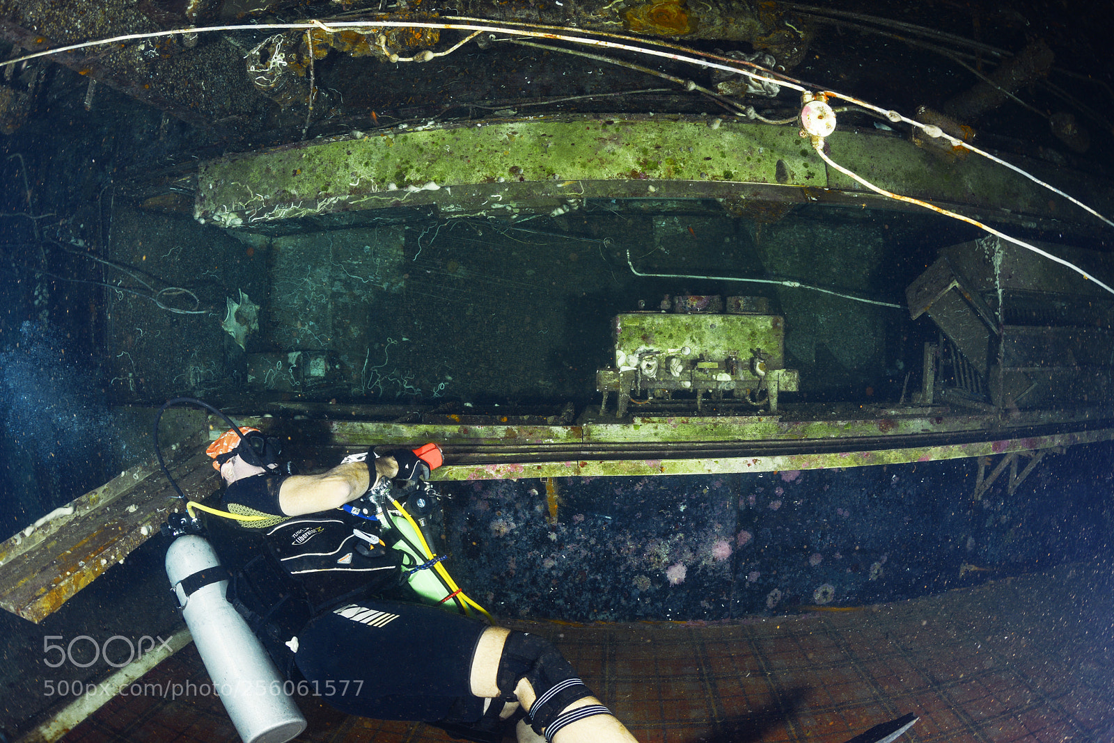 Nikon D800E sample photo. The bar in wreck photography