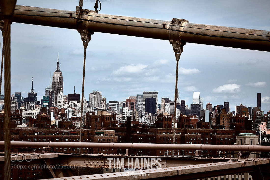 Canon EOS 5D Mark II sample photo. Untitled photography