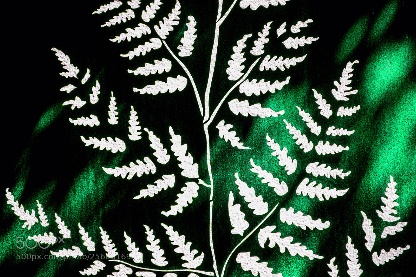 Sony Cyber-shot DSC-RX100 sample photo. Steel fern photography