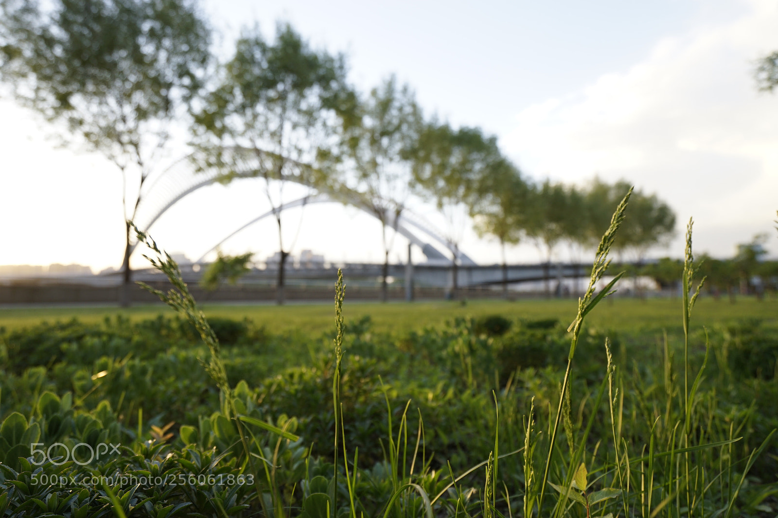 Sony a7 II sample photo. 中环夕照 photography