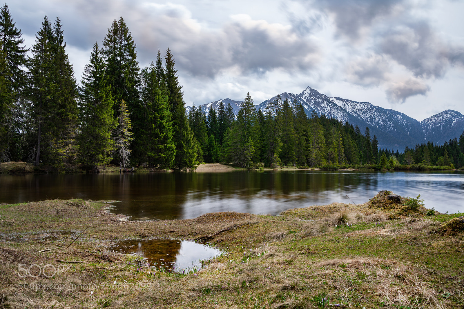 Canon EOS 5D Mark IV sample photo. Wildmoossee photography