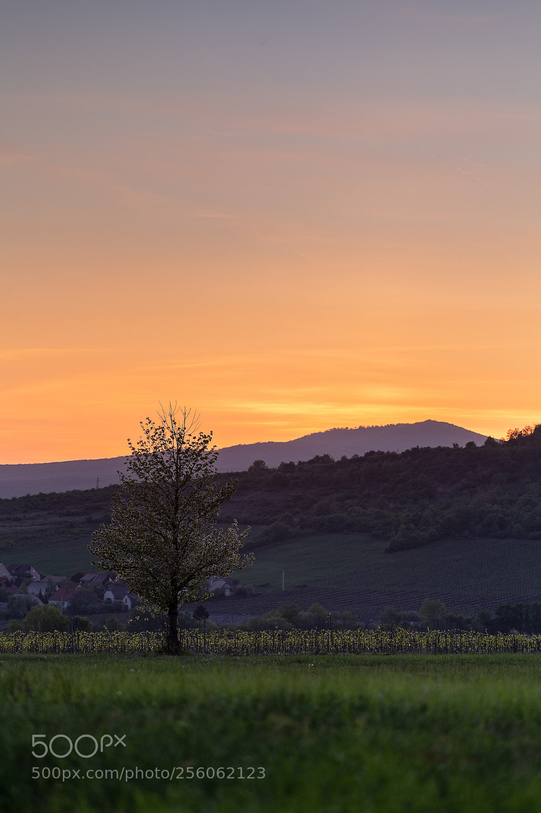 Canon EOS 6D sample photo. Sunset photography
