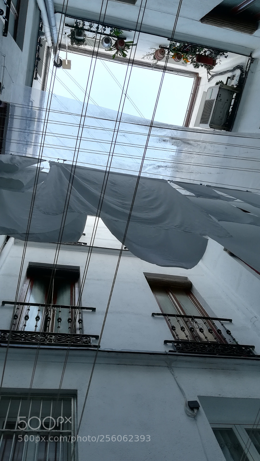 HUAWEI PRA-LX1 sample photo. Patios de madrid photography