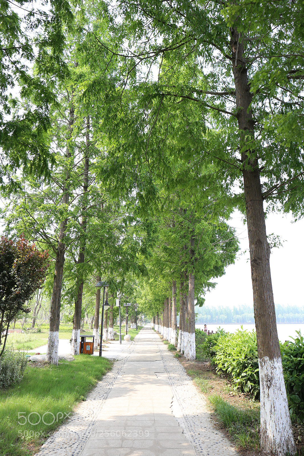 Canon EOS 6D sample photo. Untitled photography