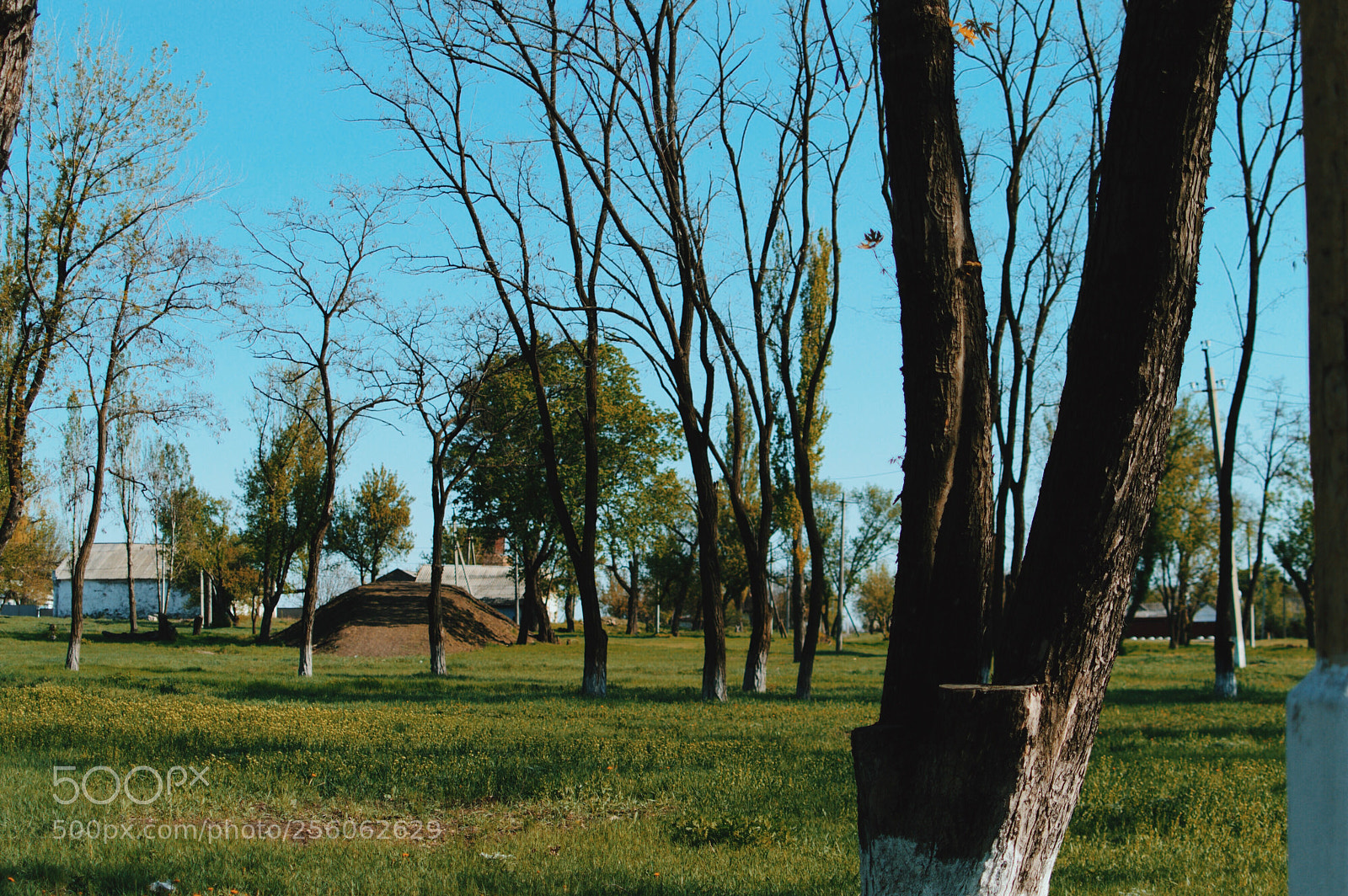 Nikon D3200 sample photo. Untitled photography