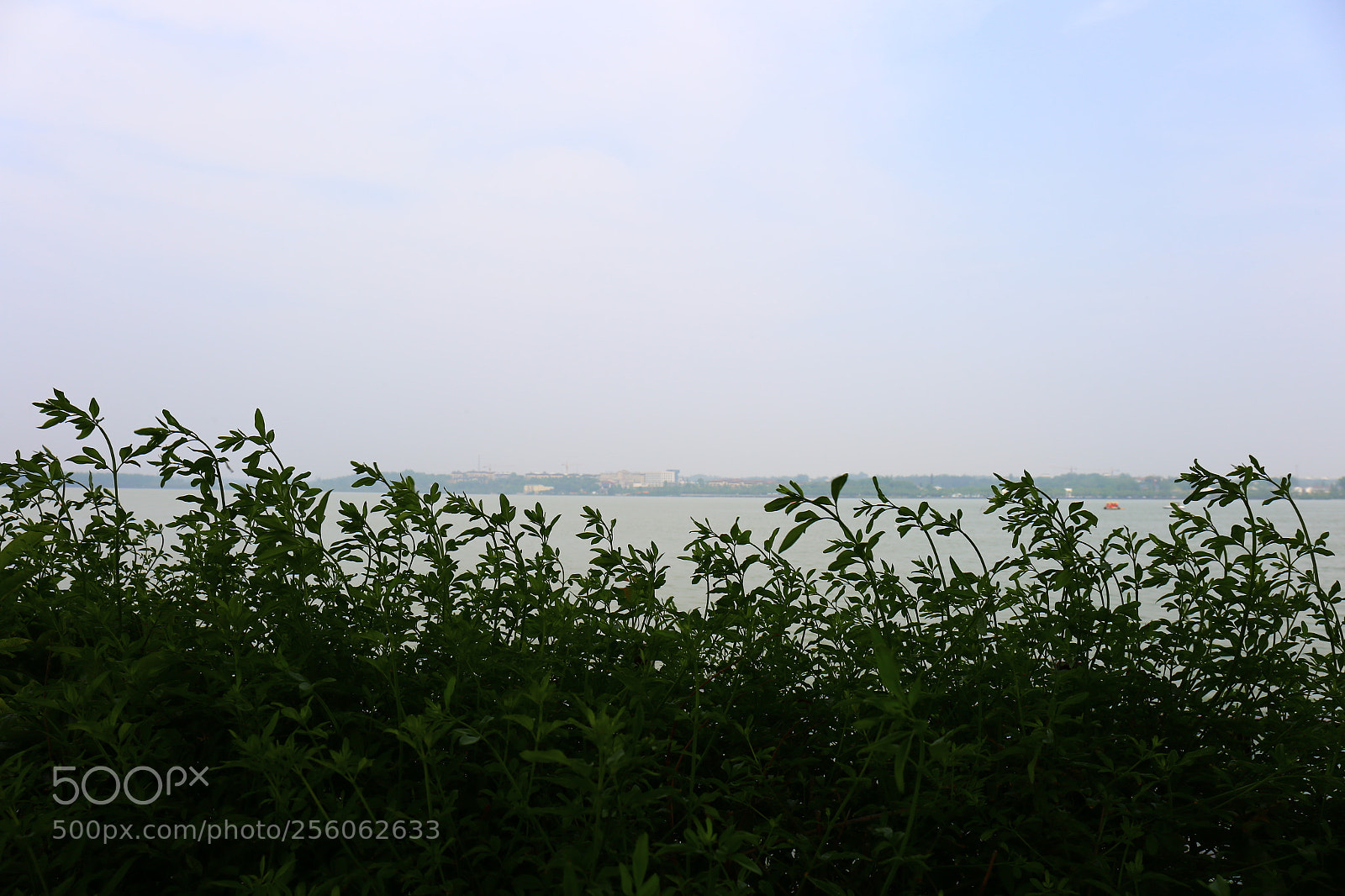 Canon EF 24-70mm F4L IS USM sample photo. Untitled photography