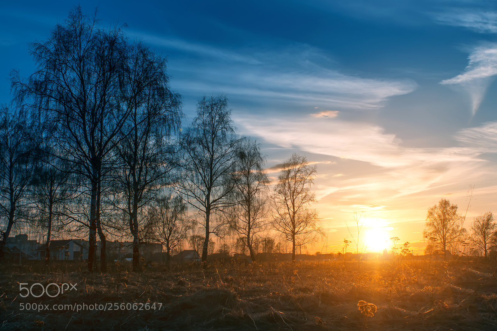 Canon EOS 600D (Rebel EOS T3i / EOS Kiss X5) sample photo. Dramatic sunset photography
