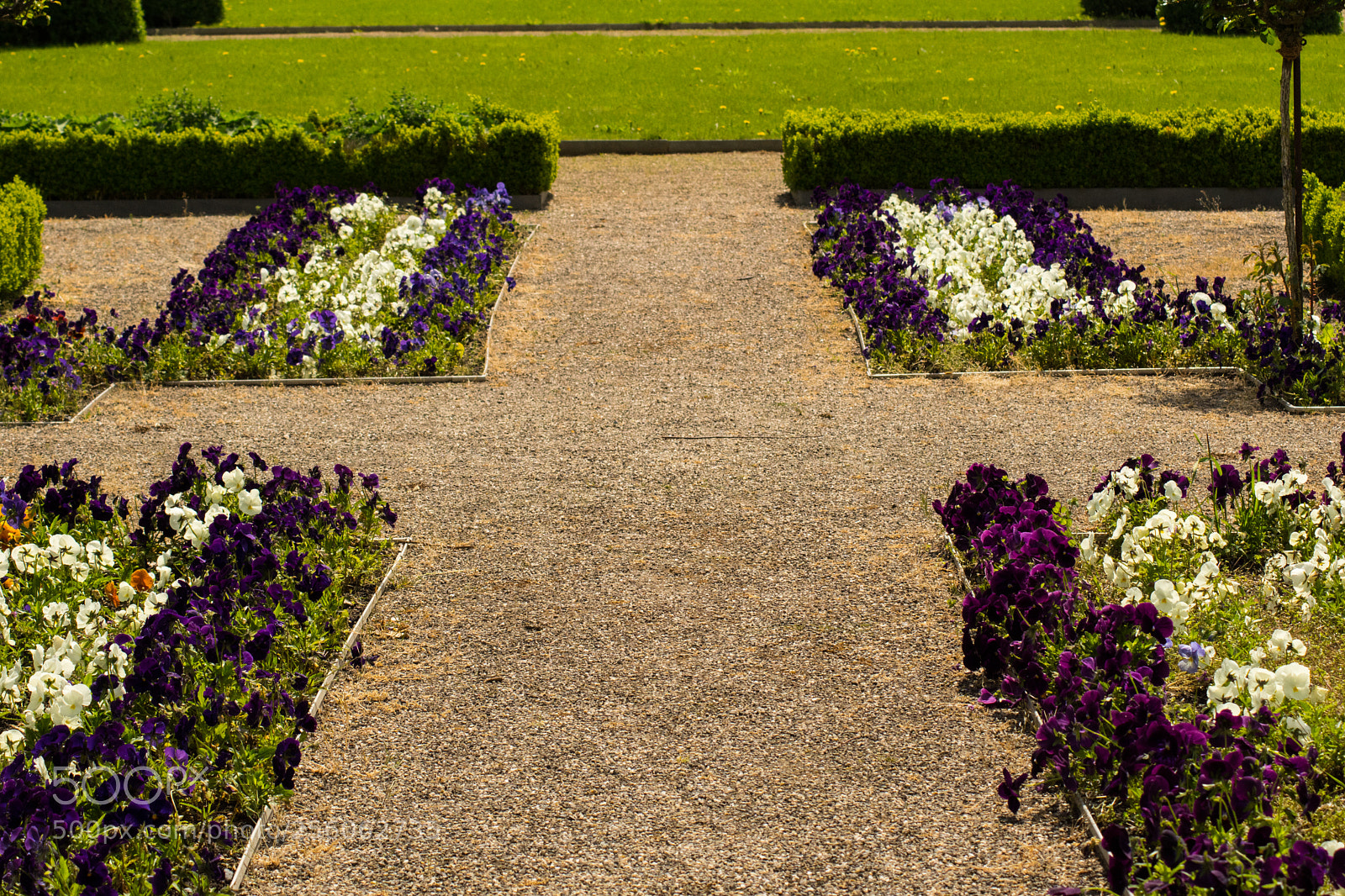 Sony SLT-A68 sample photo. Kloster kamp photography