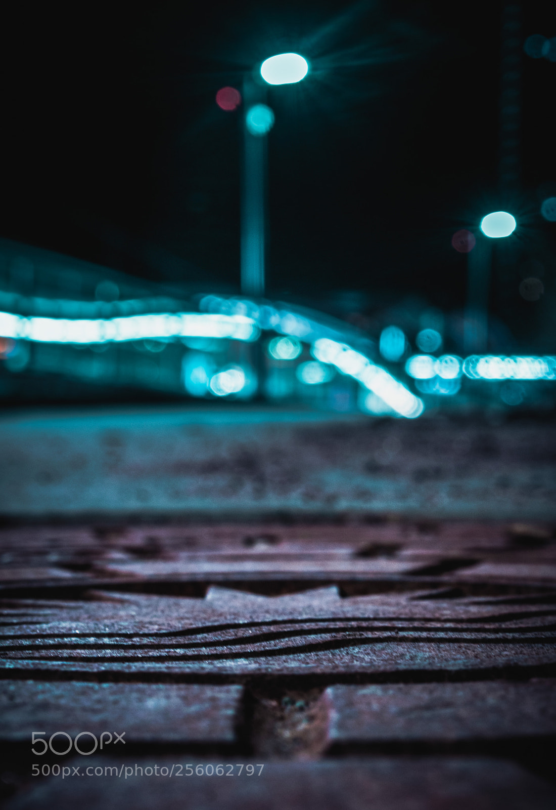 Nikon D5300 sample photo. Sewer lids can be photography