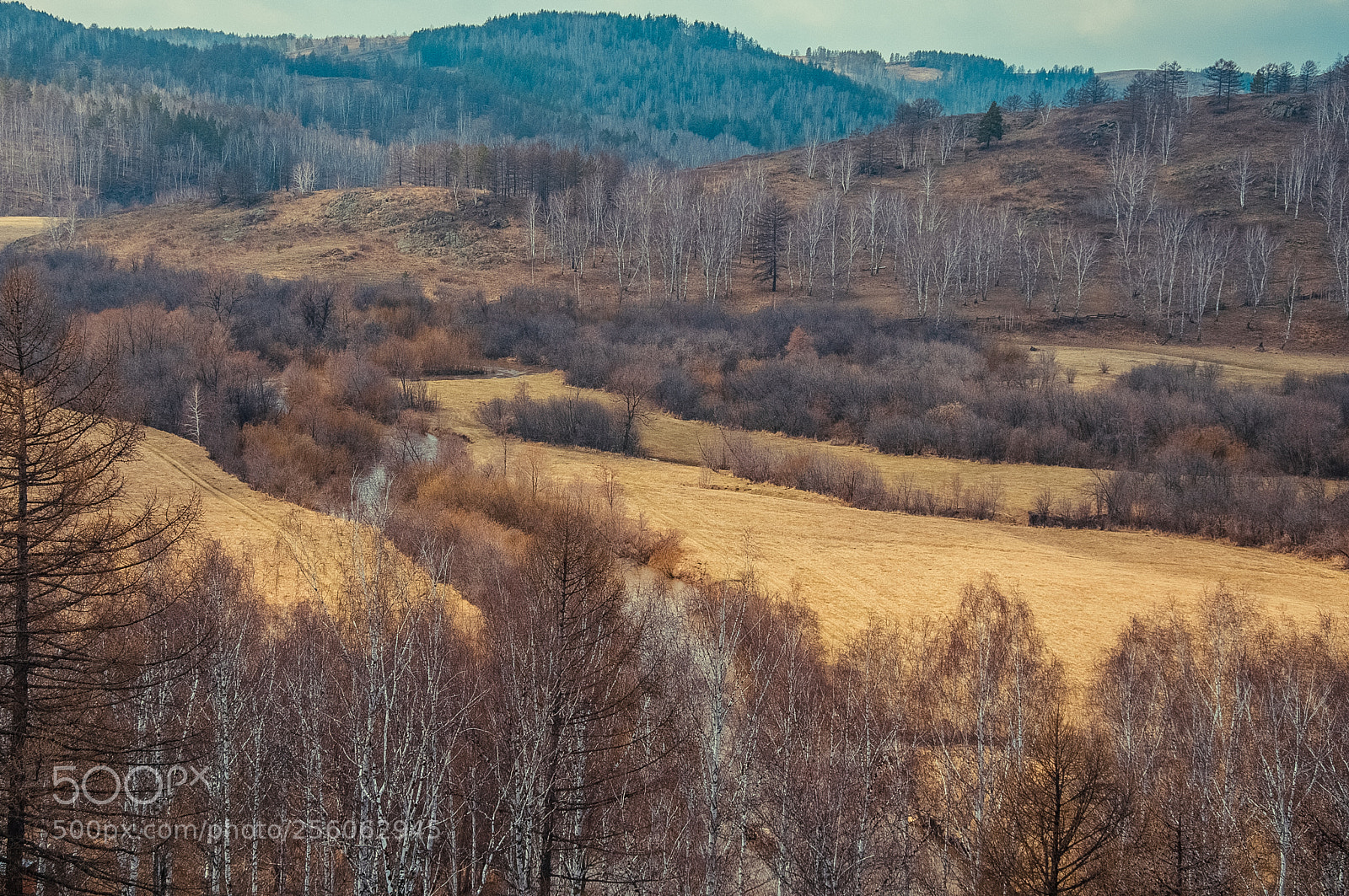 Nikon D300 sample photo. * photography