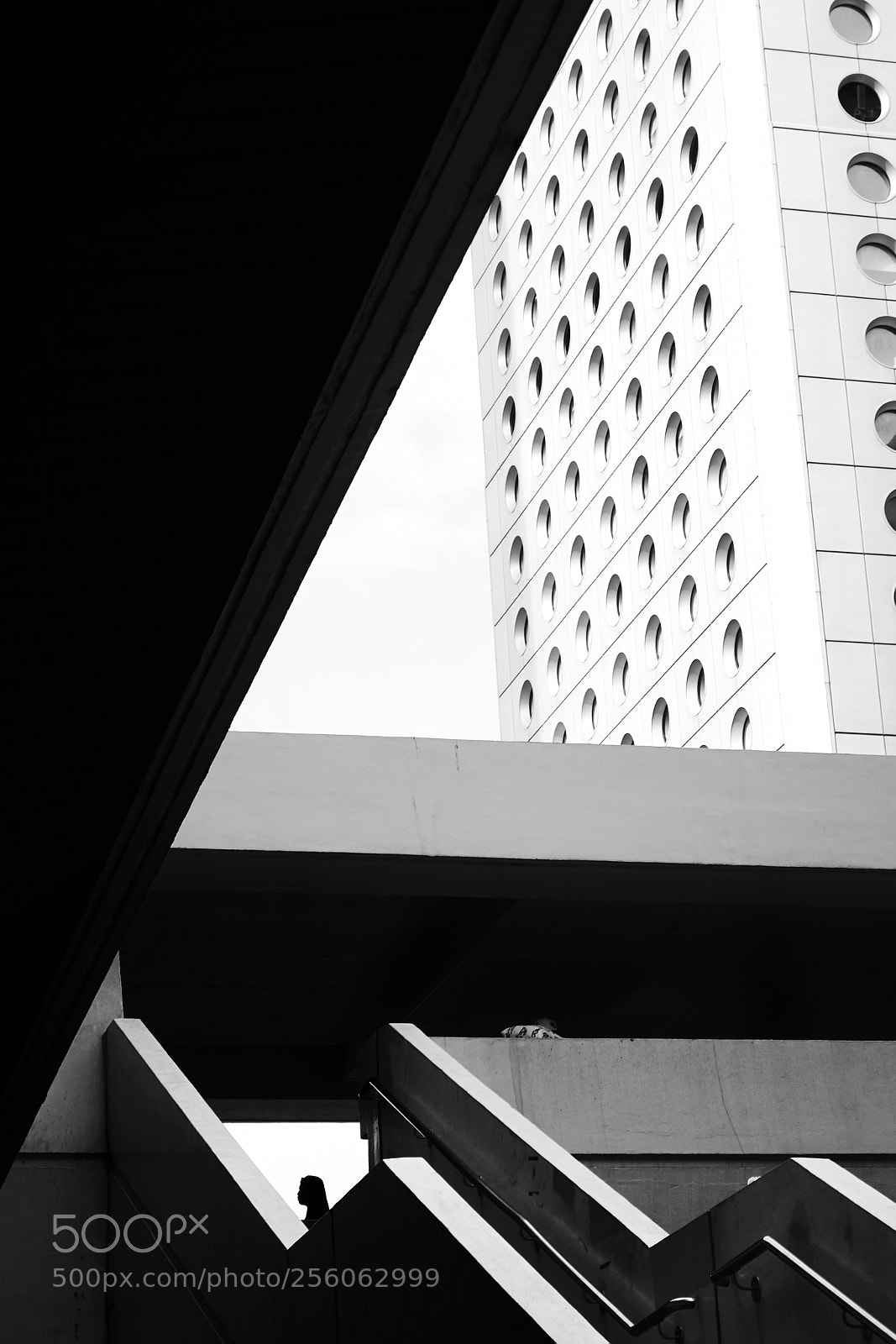 Nikon D5100 sample photo. Black and white in photography