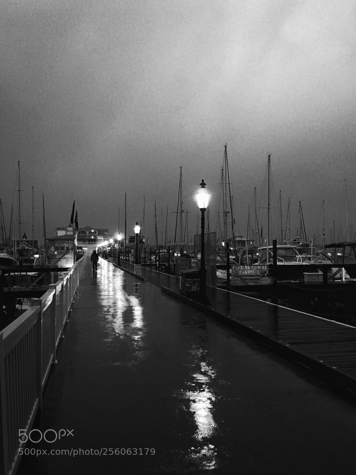 Apple iPhone 6s sample photo. Freedomdock photography