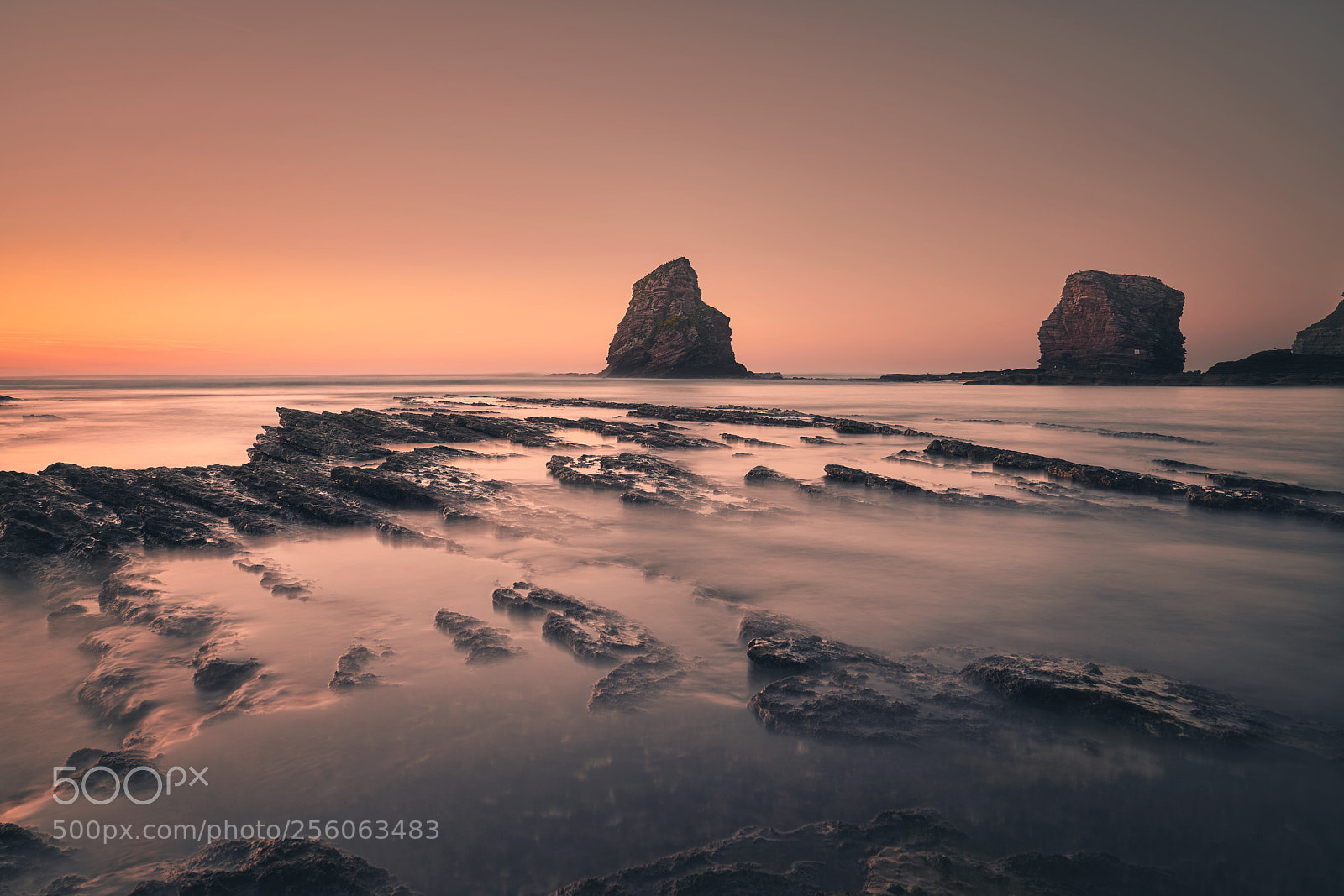 Sony a7R III sample photo. The twins photography