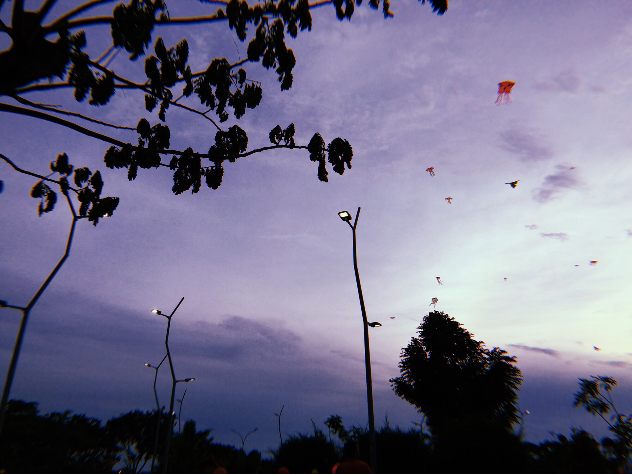 Apple iPhone sample photo. Kite 1 photography