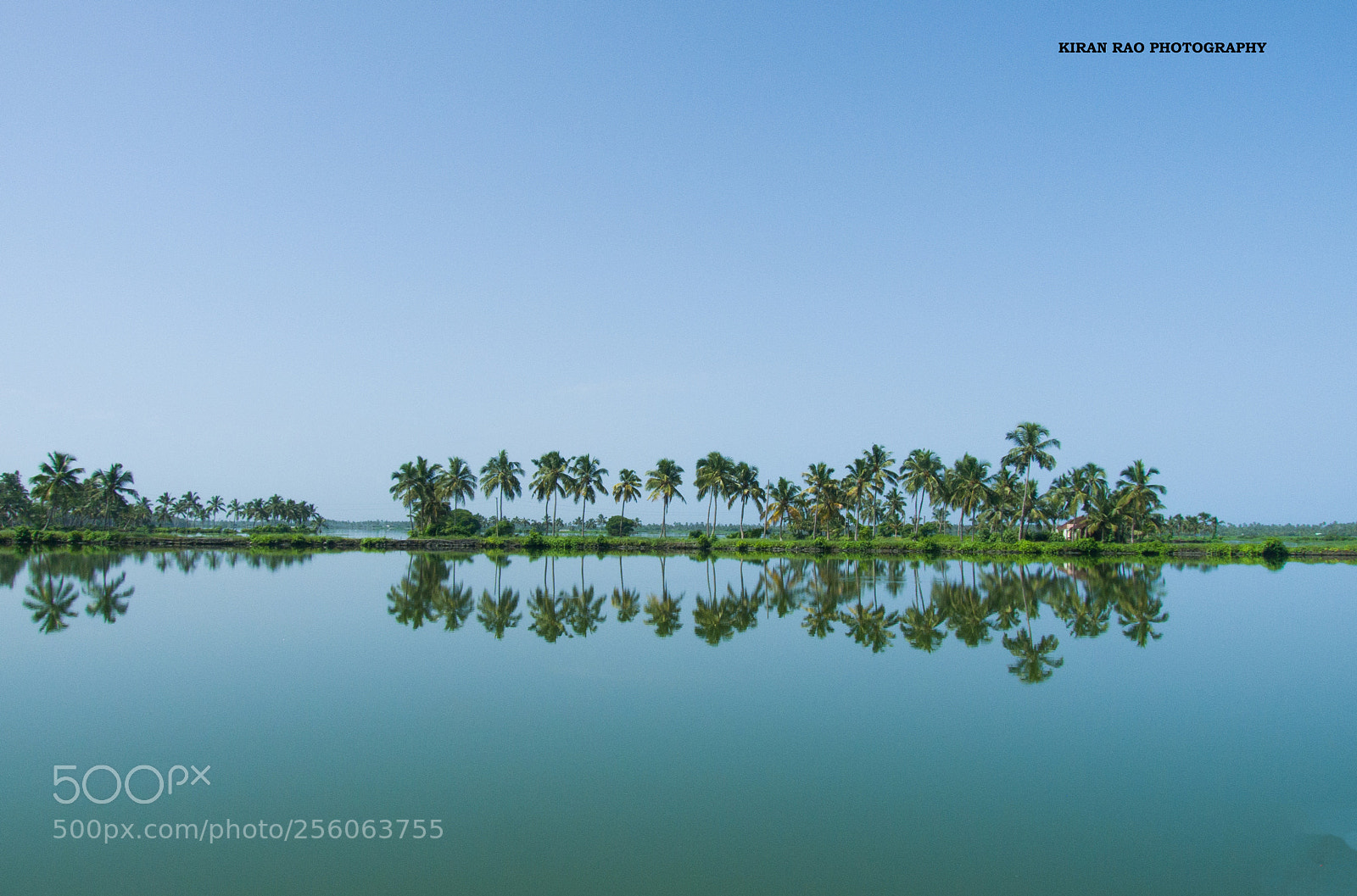 Panasonic Lumix DMC-FZ28 sample photo. Backwaters photography