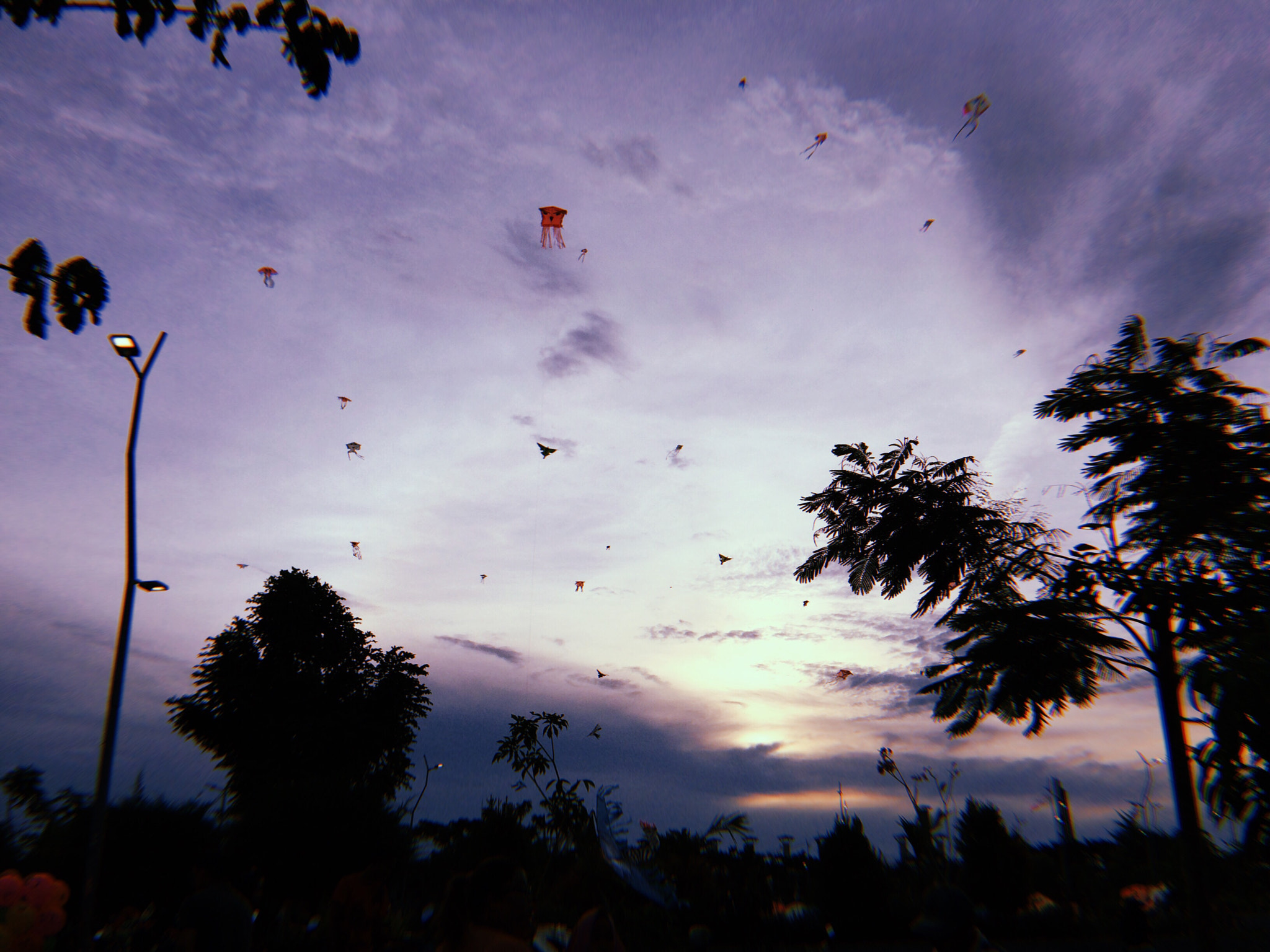 Apple iPhone sample photo. Kite 2 photography