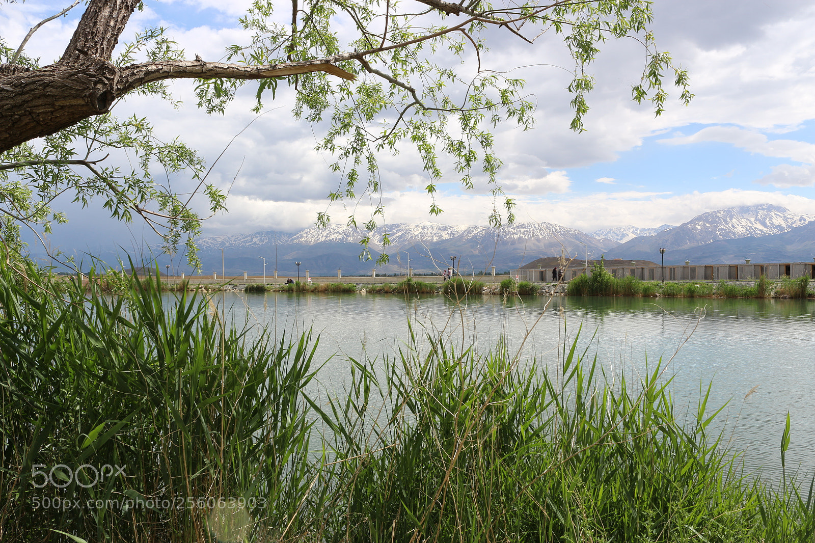Canon EF-S 18-55mm F3.5-5.6 III sample photo. Erzincan photography