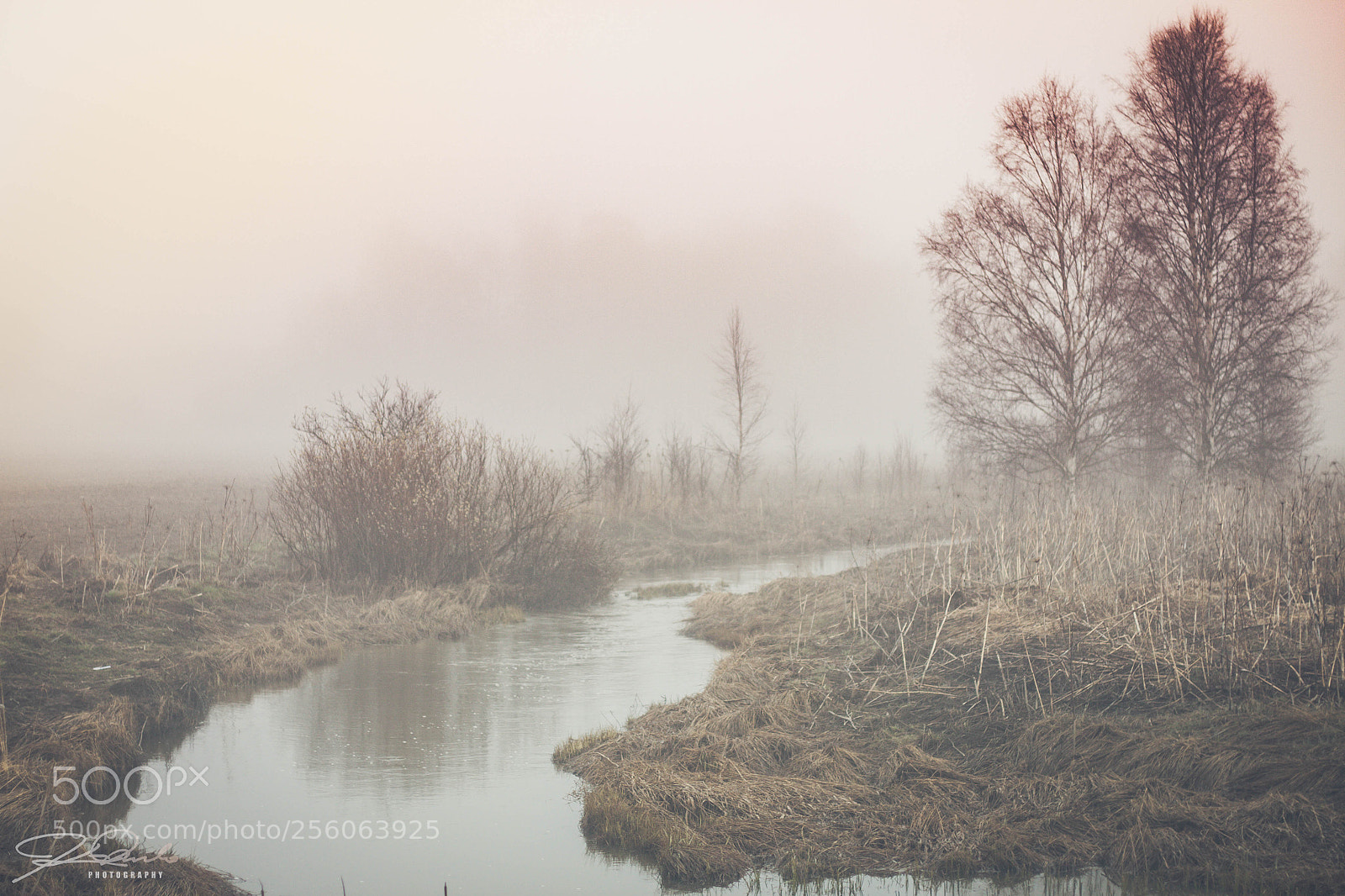 Canon EOS 500D (EOS Rebel T1i / EOS Kiss X3) sample photo. Morning mist photography