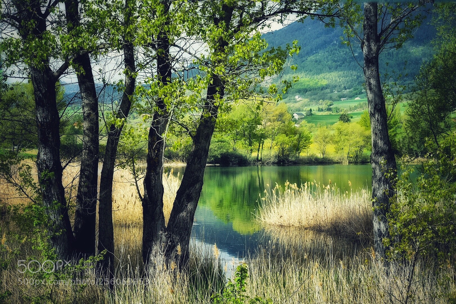 Nikon D750 sample photo. Lazy days photography