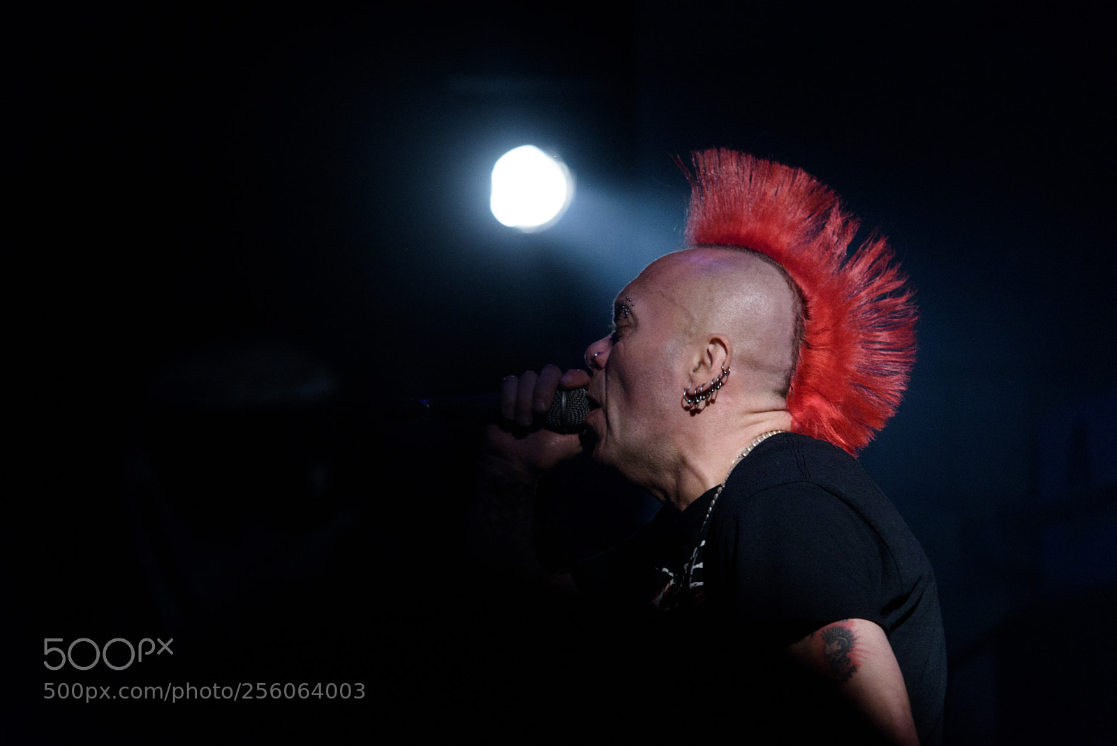 Nikon D750 sample photo. Wattie photography