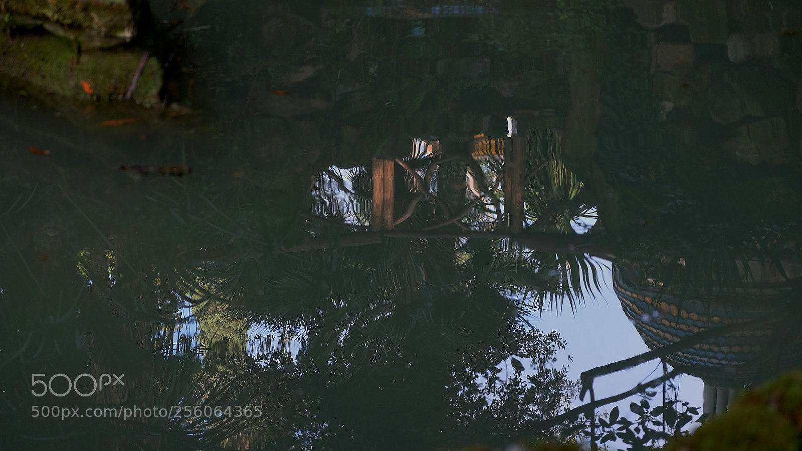 Fujifilm X-T2 sample photo. Riflessi photography