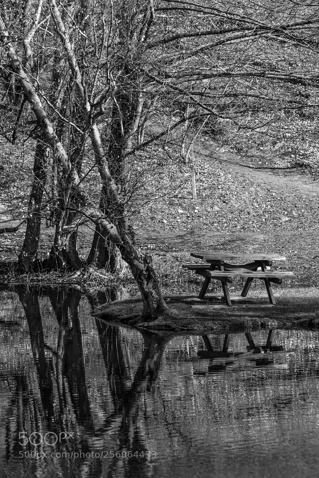 Canon EOS 6D sample photo. Waiting for the spring photography