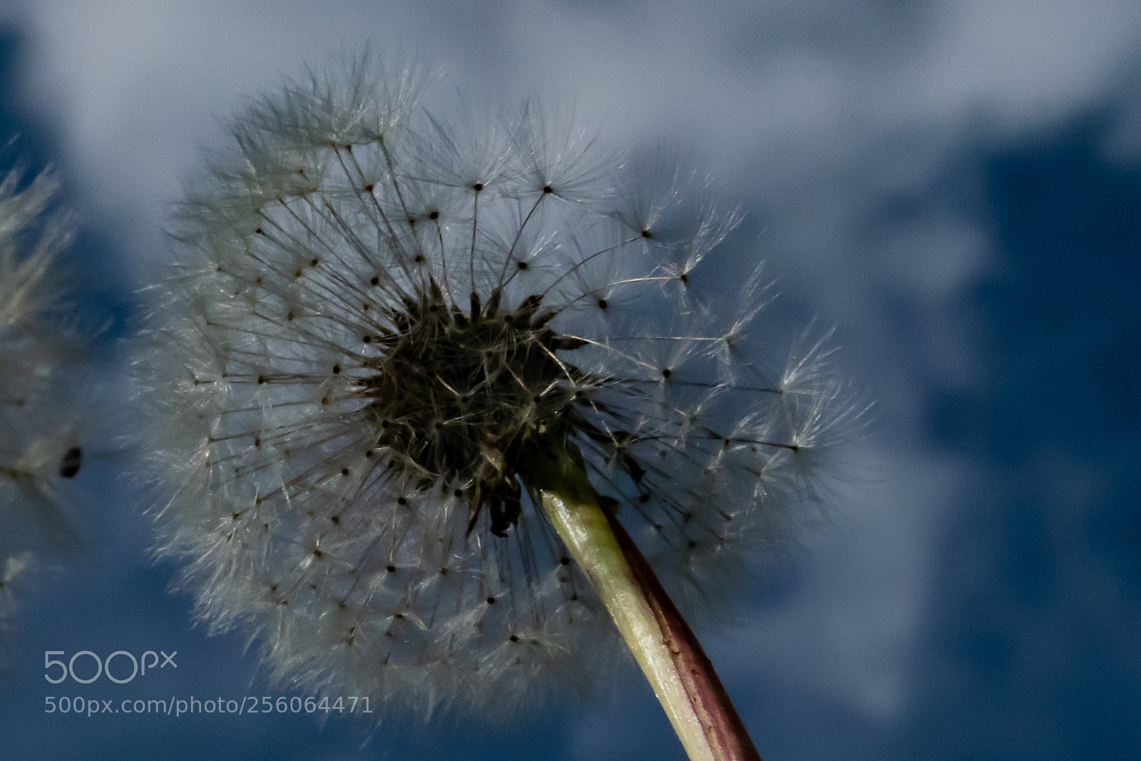 Nikon D5300 sample photo. Ein weterer versuch photography