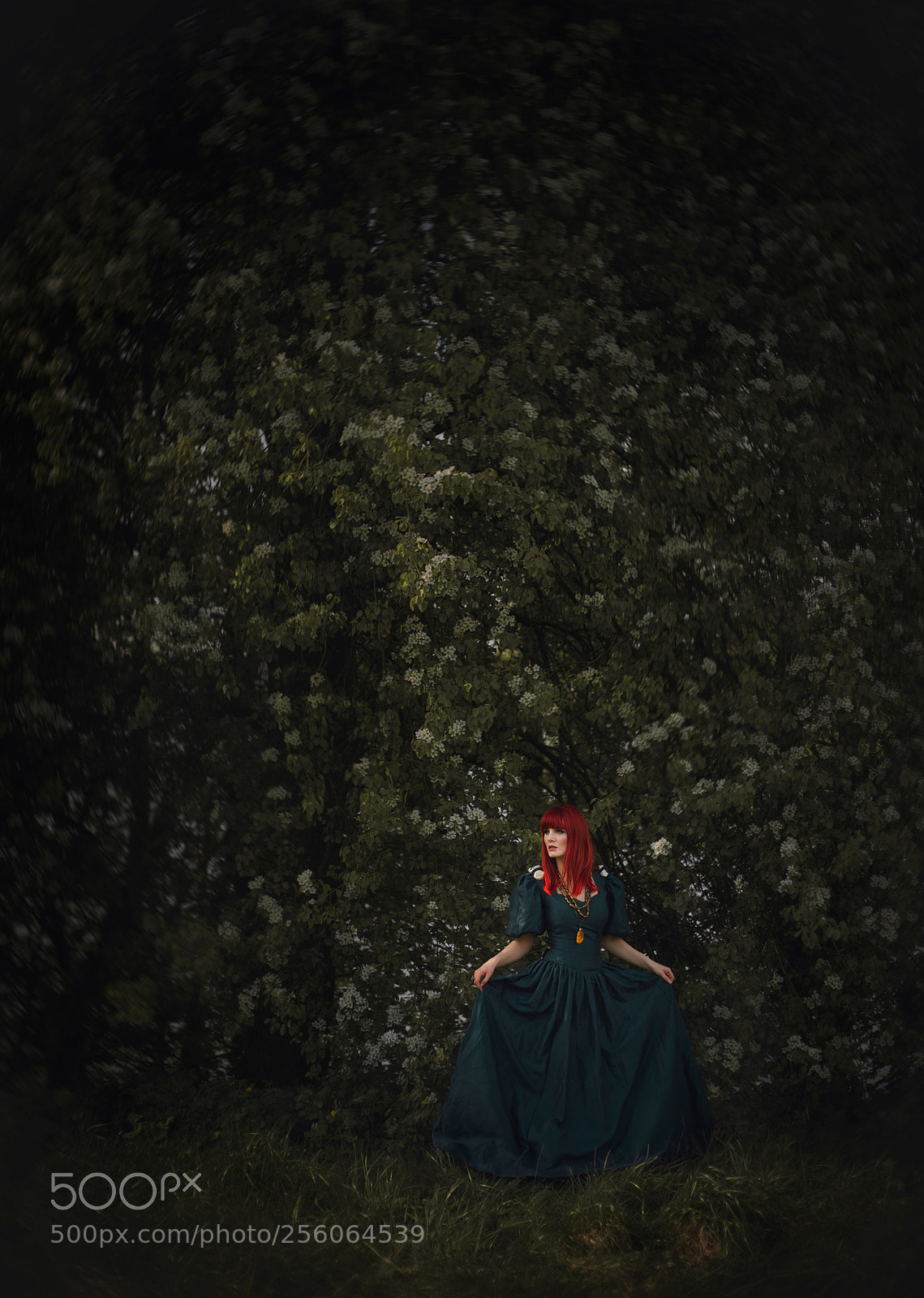 Canon EOS 6D sample photo. *** photography