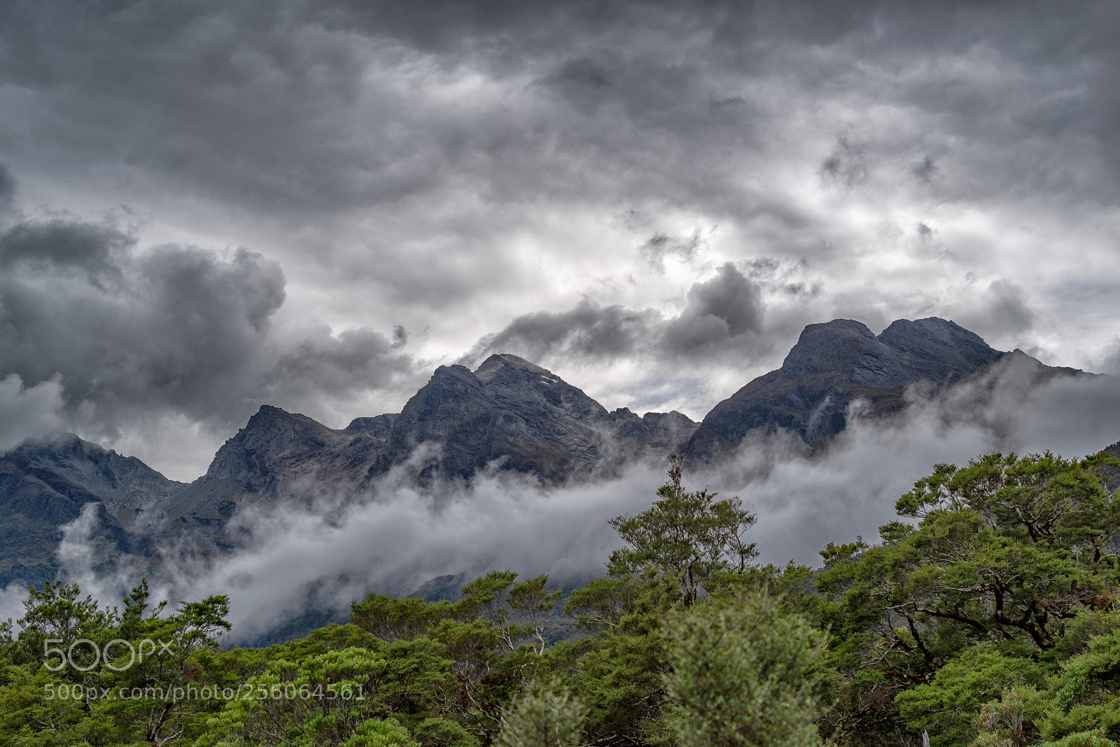 Pentax K-1 sample photo. Pop's view lookout photography