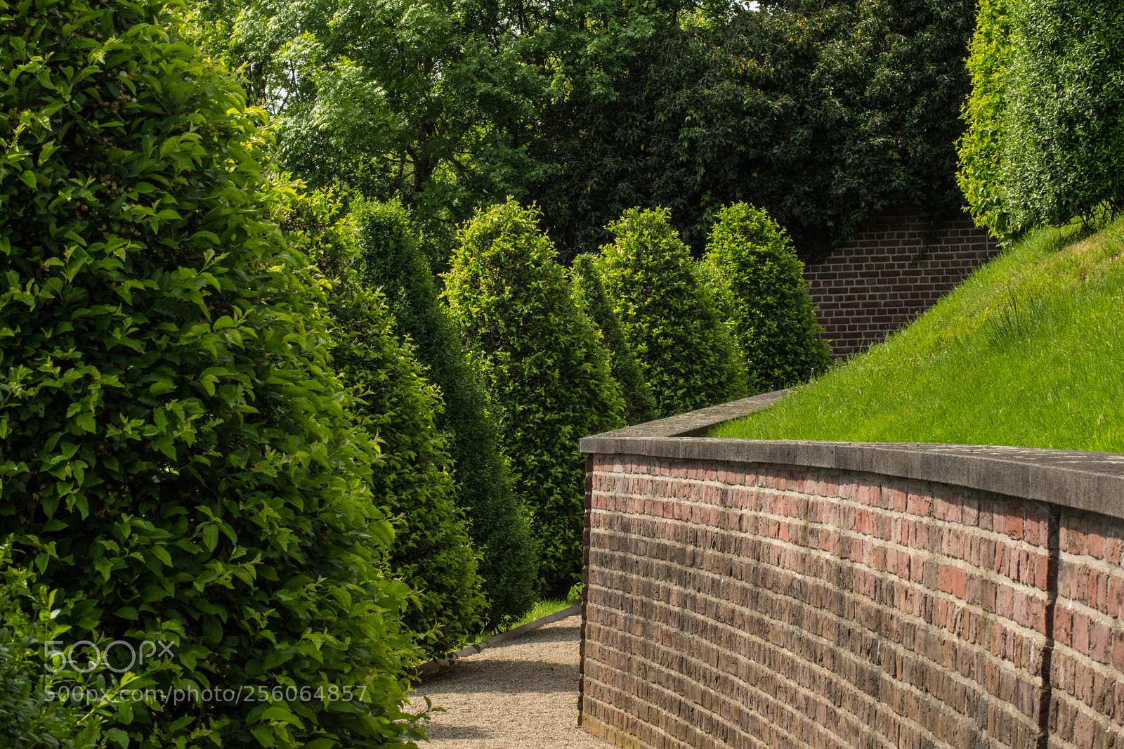 Sony SLT-A68 sample photo. Klostergarten photography